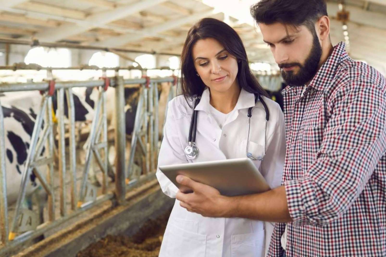 GestorVet Optimiza la Gestión y Cumple con la Normativa del Sector Veterinario