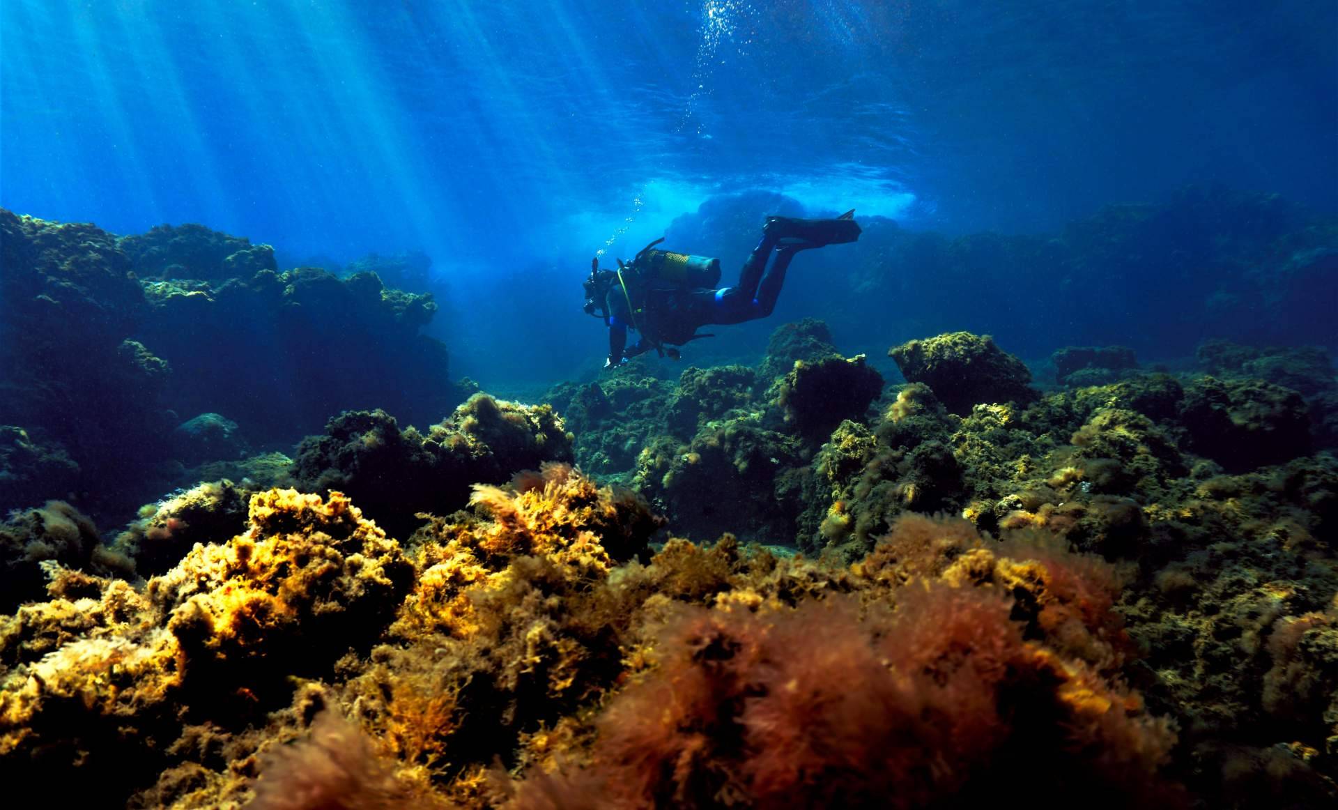 Las excursiones en Tenerife de Canarias.com consolidan su atractivo entre visitantes del archipiélago