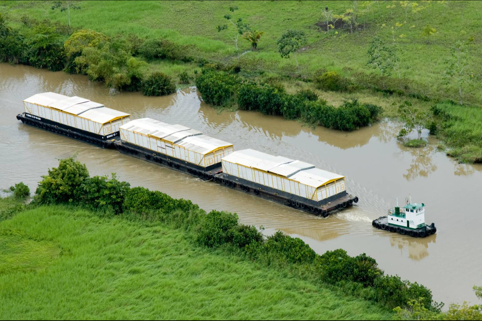 AUGURA presentará el banano colombiano en Fruit Attraction Madrid 2025 como ejemplo de sostenibilidad