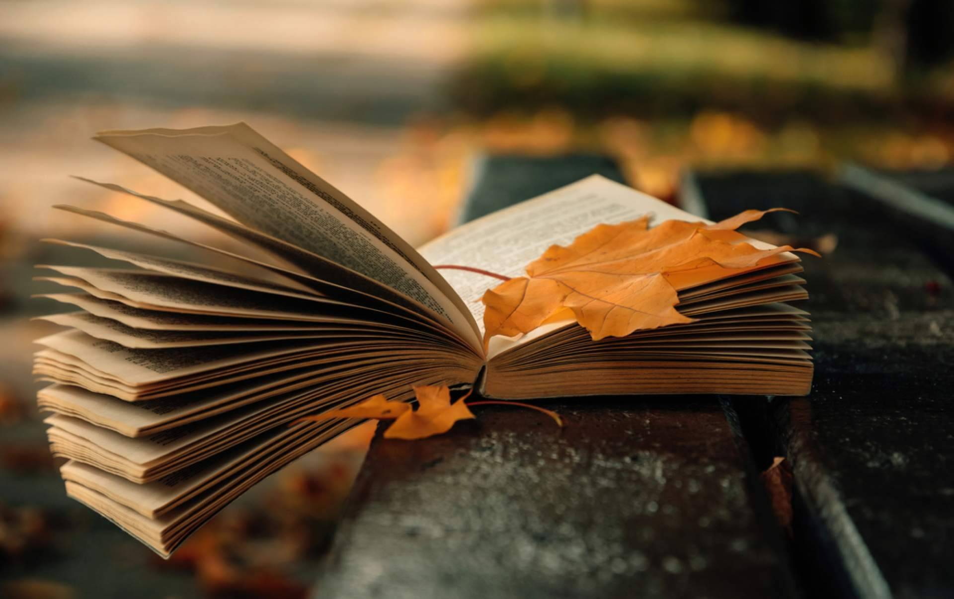 Romance dark; las novelas que llevan el amor al límite