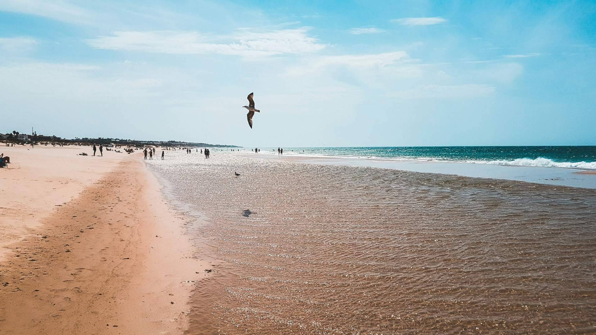 Destino La Barrosa; Una de las mejores formas de llegar desde el aeropuerto o estación de tren