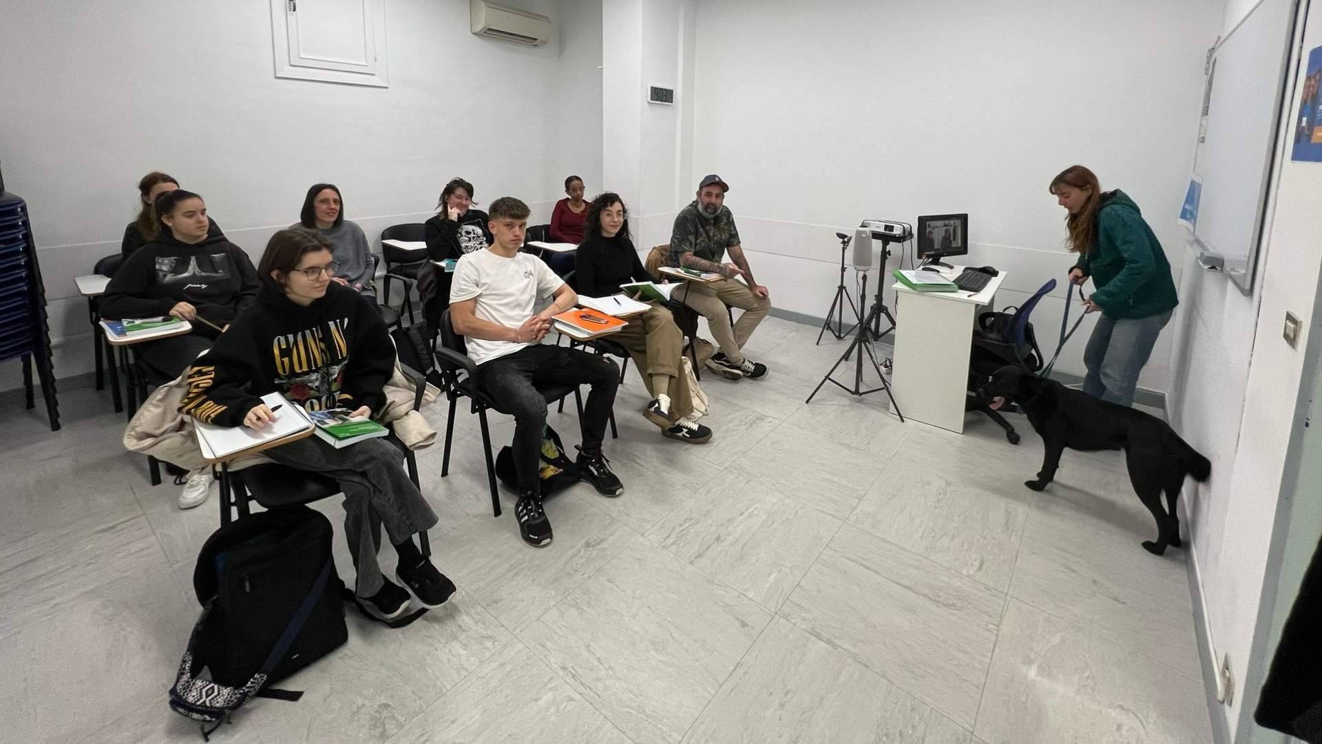 ISED abre el plazo de matrícula para formarse en algunos de los sectores con mayor demanda laboral